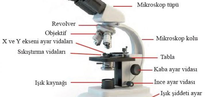 Işık mikroskobun mekanik ve optik kısımları