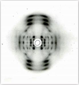 Rosalind Franklin’in X-ışını kırınım tekniği ile çektiği DNA fotoğraf