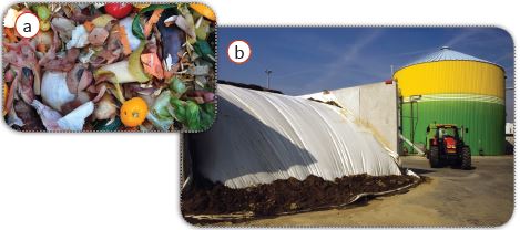 Biyogaz üretim tesisleri: Organik ev atıkları (a), Tarla ve hayvan atıkları (b)