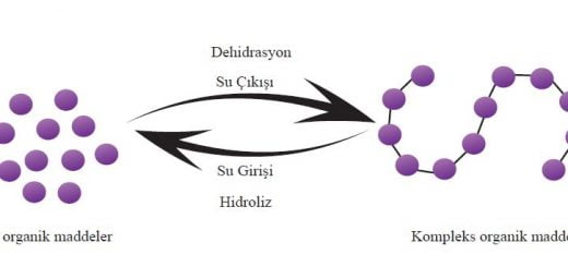 Dehidrasyon ve hidroliz reaksiyonu
