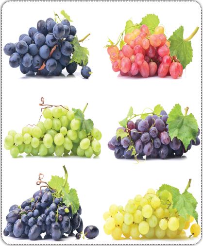 Farklı özelliklere sahip üzümler