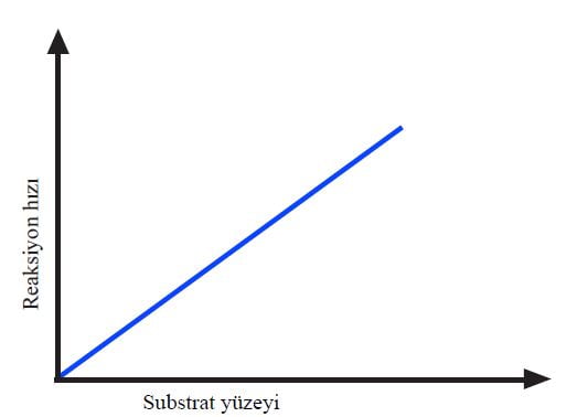 Substrat yüzey alanının reaksiyon hızı üzerine etkisi