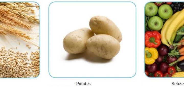 Tahıllar - Patates - Sebze ve Meyveler