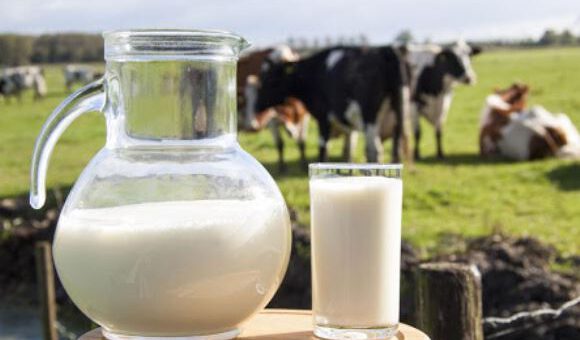Kalsiyum; süt ve süt ürünlerinde bol miktarda bulunur.