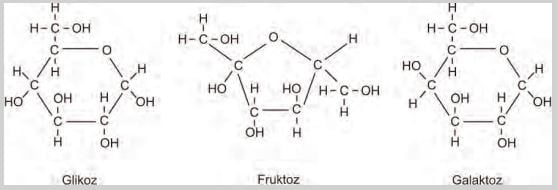 Glikoz (üzüm şekeri), fruktoz (meyve şekeri) ve galaktoz (süt şekeri)’un kimyasal formülleri